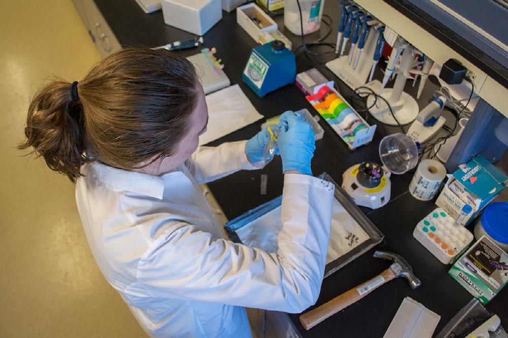 Faculty member doing research in HHD lab