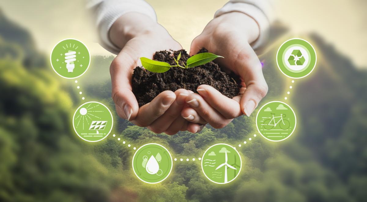 hand holding soil and plant with sustainability icons